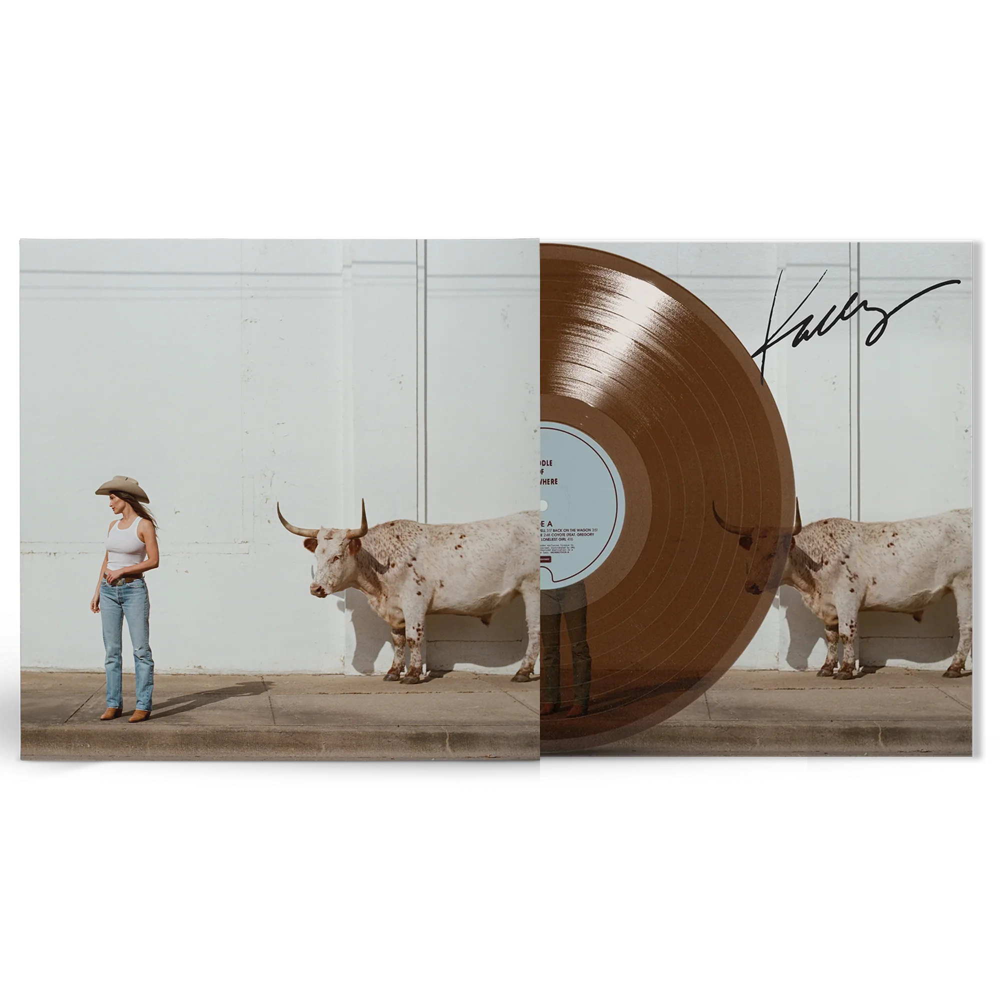 Vinyl